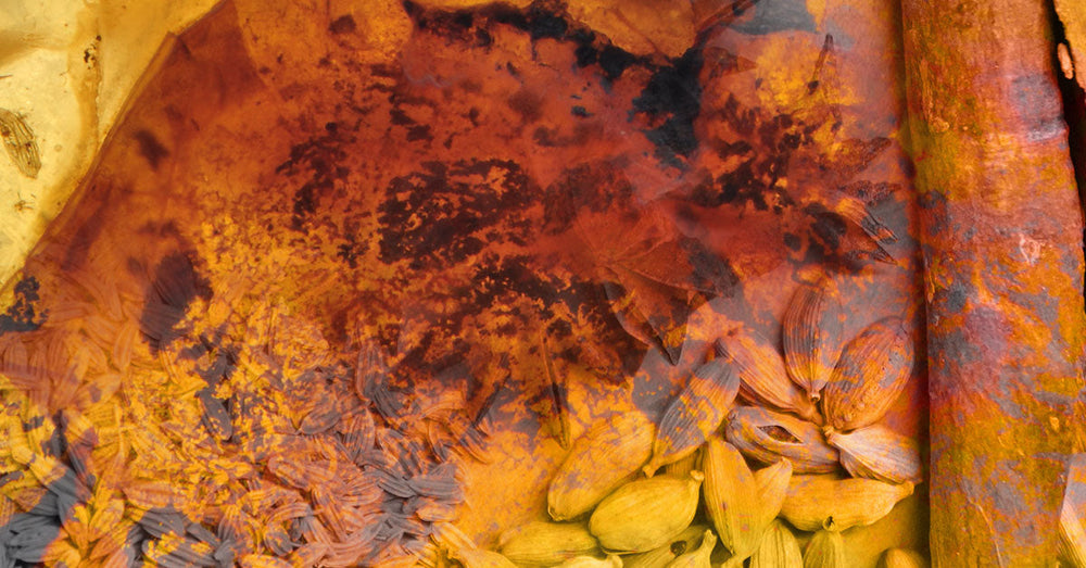 Discover the warm embrace of amber scents, comforting, sweet, seductive