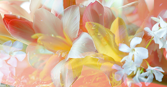 The bold, hypnotic world of tuberose in perfumery