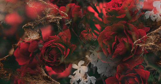 The seduction of scent