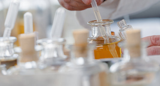 Surprising fragrance families you’ll fall in love with