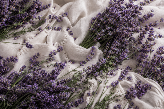 English Lavender, the scent reimagining modern fragrance.