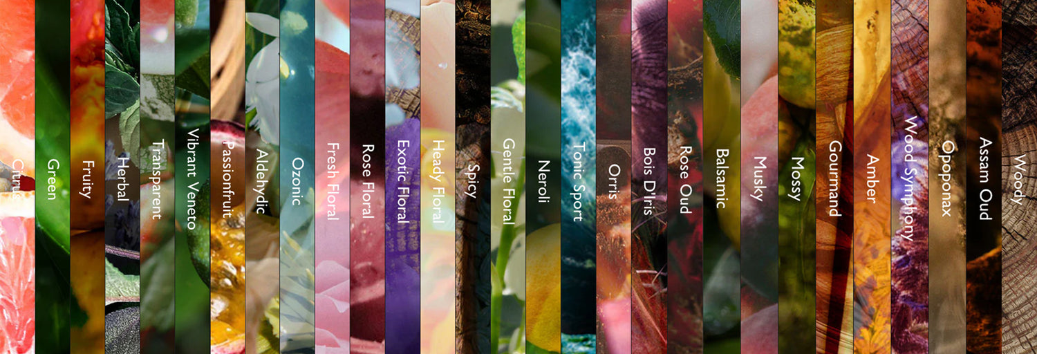 The Perfume Studio Fragrance Blends