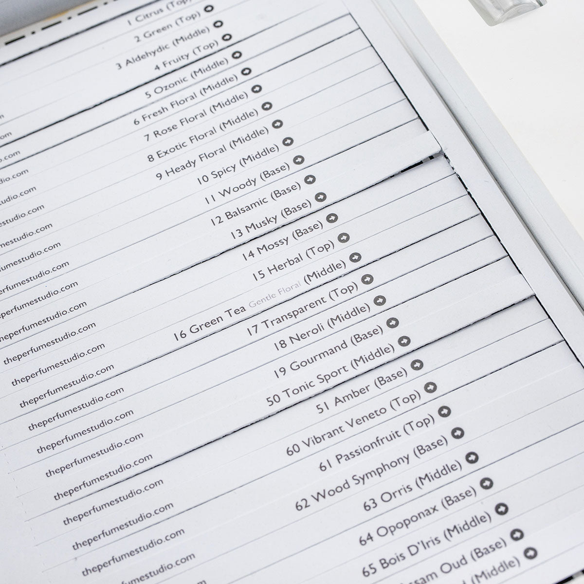 List of fragrance notes - detailed scent strips.