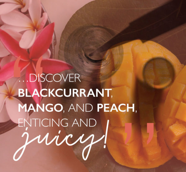 Discover blackcurrant, mango and peach. Enticing and juicy!