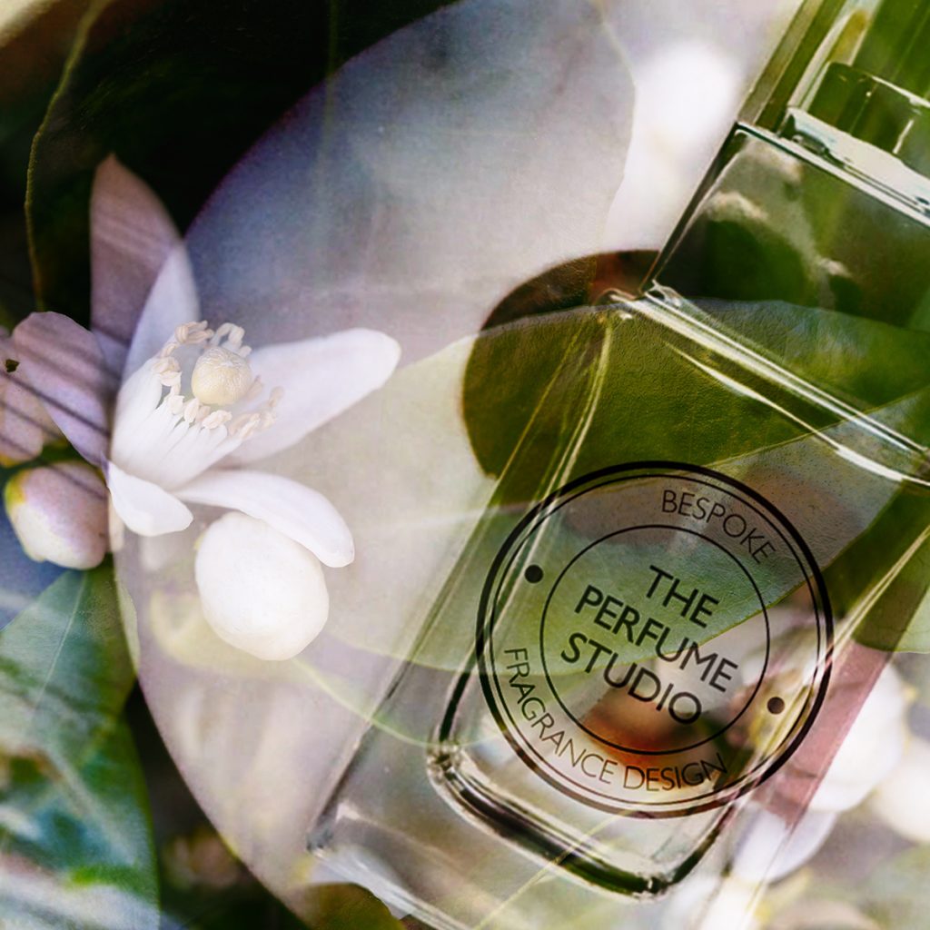 A glass perfume atomiser with neroli flowers.